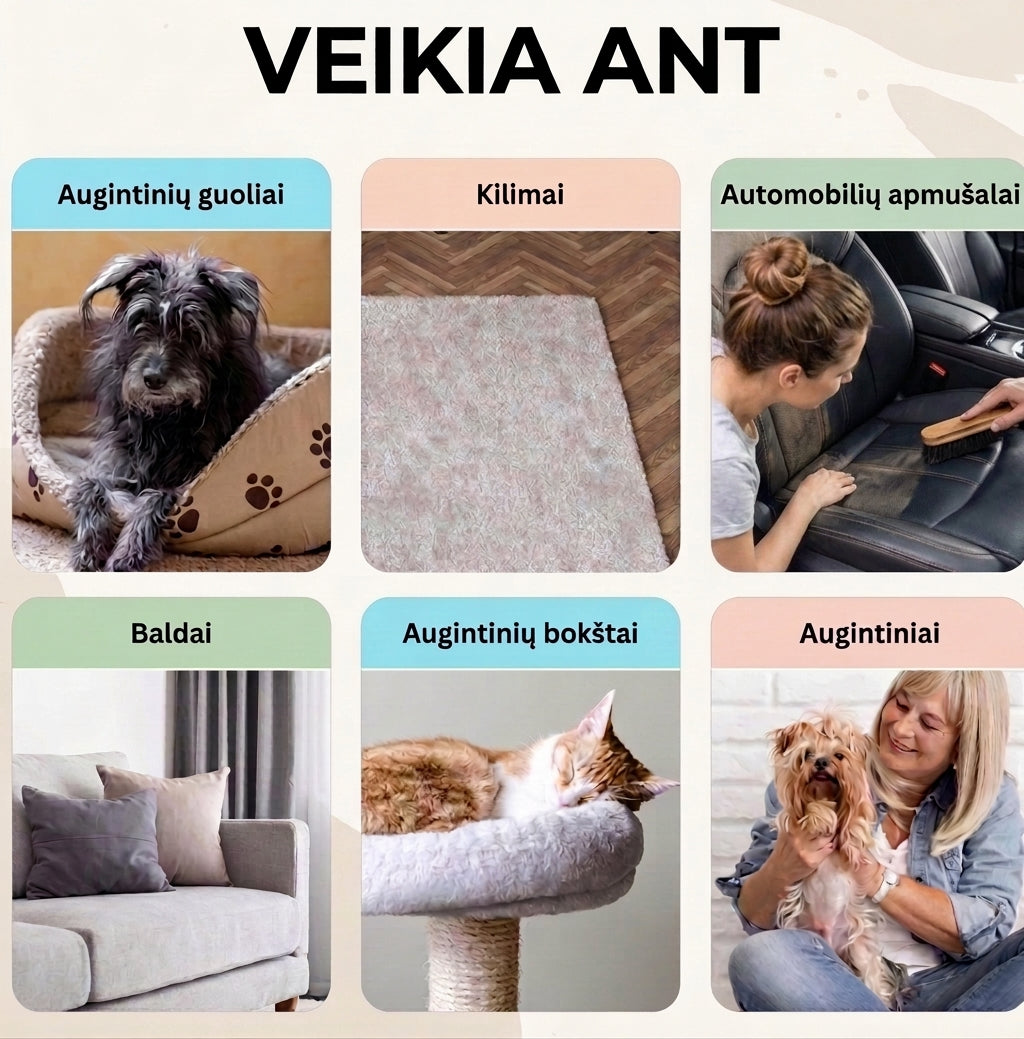 Švaros rinkinys